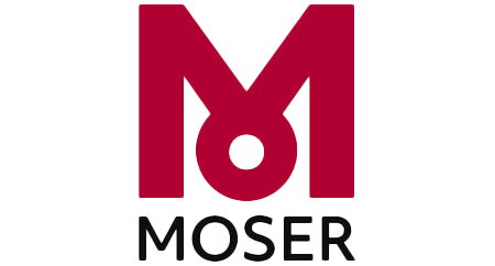 schema org logo2